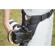 SpiderHolster Pro Clamp: Picture 4 thumbnail
