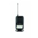 Shure BLX1288/P31: Picture 3 thumbnail