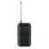 Shure BLX1288/W85: Picture 6 thumbnail