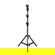 Shape Low Boy Double Riser: Picture 1 thumbnail
