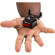 Shape MNQR: Picture 6 thumbnail