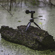Shure MoveMic 88+: Picture 12 thumbnail