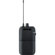 Shure P3R-H20: Picture 1 thumbnail