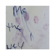 Sirchie Ninhydrin Aerosol Spray: Picture 2 thumbnail