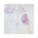 Sirchie Ninhydrin Aerosol Spray: Picture 2 thumbnail