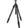 Swarovski Optik PCT Tripod: Picture 2 thumbnail
