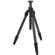 Swarovski Optik CCT Tripod: Picture 2 thumbnail