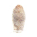 Sirchie 3g Iodette Ampoules, 6/Box: Picture 1 thumbnail