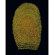 Sirchie Orangecharge Fluorescent Magneti...: Picture 2 thumbnail