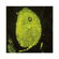 Sirchie Basic Yellow After-Fuming Fluore...: Picture 1 thumbnail