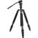 Sirui N-2204SK + VA5: Picture 2 thumbnail