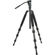 Sirui N-2204SK + VA5: Picture 1 thumbnail