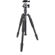 Sirui T-004S + B-00: Picture 4 thumbnail