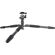 Sirui T-004S + B-00: Picture 8 thumbnail