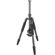 Sirui T-024S + B-00: Picture 5 thumbnail