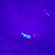 Sirchie TMX200: Picture 7 thumbnail