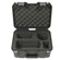 SKB 3I-1309: Picture 3 thumbnail