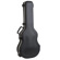 SKB 1SKB-000: Picture 2 thumbnail
