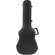 SKB 1SKB-300: Picture 2 thumbnail