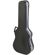 SKB 1SKB-300: Picture 3 thumbnail