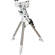 Sky-Watcher AZ-EQ6 GoTo SyncScan Equator...: Picture 10 thumbnail