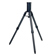 Sky-Watcher Wave Tripod: Picture 2 thumbnail
