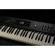 Studiologic Numa X Piano: Picture 6 thumbnail