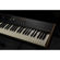 Studiologic Numa X Piano GT: Picture 6 thumbnail