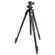 Nikon Z50: Picture 6 thumbnail