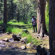 Slik PRO 330SVH: Picture 10 thumbnail