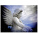 SLR Magic Pin Hole: Picture 4 thumbnail