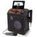 Singing Machine SDL2093: Picture 2 thumbnail