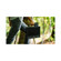 SmallHD 1303 HDR 13" LED Production Moni...: Picture 7 thumbnail