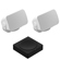 undefined undefined: Picture 1 regular