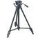 Sony DEV-50 2D & 3D Full HD Digital Recording Binocular - BUNDLE - with  LCS-U11 Soft Case, 64GB SDHC Card, Spare Lithium Battery, Lens Cleaning Kit,  VCT-R640 Tripod: Picture 3 thumbnail