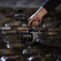Sony FX2: Picture 11 thumbnail