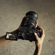 Sony FX2: Picture 18 thumbnail