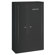 Stack-On 10 Gun Double-Door Steel Securi...: Picture 1 thumbnail