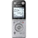 Sony ICD-SX733: Picture 4 thumbnail