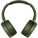 Sony MDR-XB950N1: Picture 1 thumbnail
