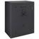 Stack-On Safe: Picture 1 thumbnail