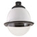 Sony 7" Outdoor Pendant Mount Housing fo...: Picture 2 thumbnail