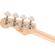 Squier Paranormal Jazz Bass '54: Picture 5 thumbnail