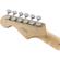 Squier Contemporary Strat HH: Picture 5 thumbnail