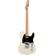 Squier Bullet Telecaster: Picture 1 thumbnail