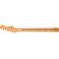Fender Guitar Neck: Picture 2 thumbnail
