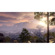 Square Enix Inc. Outriders: Picture 3 thumbnail