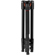 SmallRig T-10: Picture 9 thumbnail