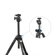 SmallRig CT200: Picture 3 thumbnail