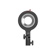 undefined undefined: Picture 1 regular